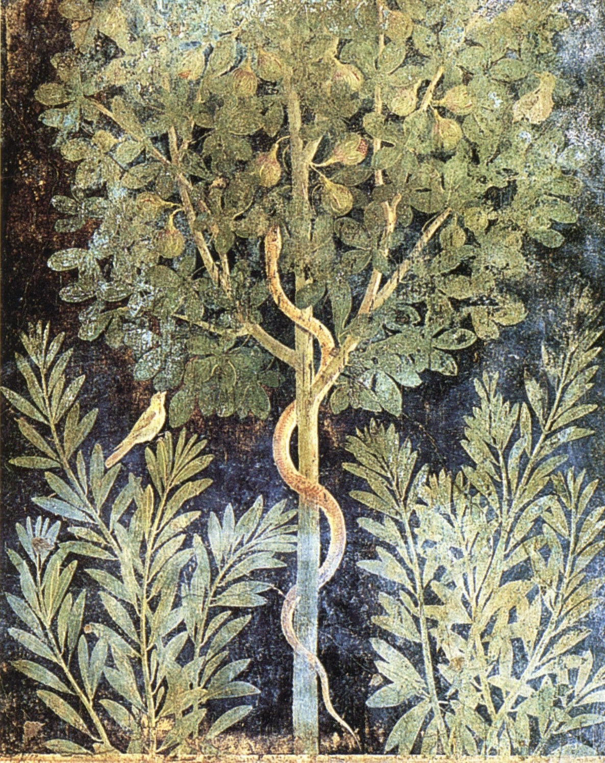 Under The Fig Tree